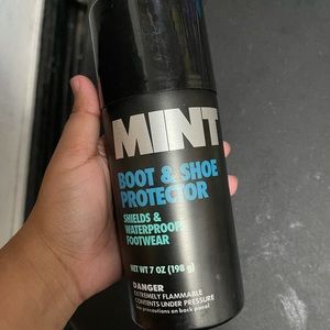 Mint Boot cleaner
